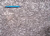 Granito Porfirítico com orientação de fluxo magmático dada pelos cristais de    feldspato alcalino, no cume do Pico Menor. Autor: Marcelo Ambrosio