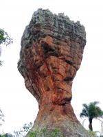 Geoforma "taça", representante do relevo ruiniforme, do Arenito Vila Velha.