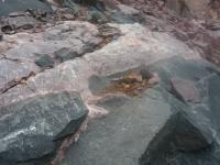 Injeção de “rocha encaixante” (granitóide fino) no “dique” básico que, na foto, parece enclave de xenólito.