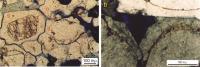 Figura 8. a. quartzoarenito silicificado, exibindo contornos detriticos originais (de grãos arredondados), demarcados por película de óxidos/hidróxidos de ferro (o), com crescimento sintaxial de quartzo/sílica (s)... VER Observações.
