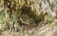 Ocorrem diferentes tipos de espeleotemas na gruta da Varzinha como colunas, estalactites e estalagmites. Fotografia: Paula Segalla e André Studzinski, 2015.
