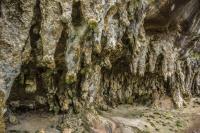 Nesta imagem o detalhe dos diferentes tipos de espeleotemas como as estalactites que são deposições calcárias formadas a partir do teto da caverna. Fotografia: Paula Segalla e André Studzinski, 2015.