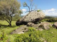 Blocos de rochas do granito Caçapava do Sul equilibrado sobre o maciço rochoso que fica na trilha próximo à sede da Chácara do Forte. Fotografia: Carlos Peixoto, 2013..