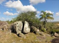 Blocos de rocha com vegetação rupestre associada.
