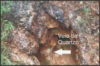 Aspecto do veio de quartzo aurífero com óxidos de manganês, Fazenda Silvina. Foto: Violeta de Souza  Martins, 2015.