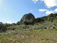 Vista do cume na trilha de acesso ao Pico de Itobira.Foto: Violeta de Souza Martins