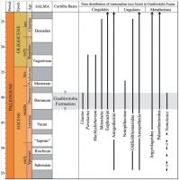 Idade da Fm. Guabirotuba, com base em descobertas paleontológicas recentes na Bacia de Curitiba. Fonte: Sedor et al. (2017a).
