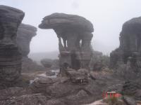 Feições de erosão ruiniforme em rochas areníticas no topo do Monte Roraima.