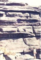 Pacote com aproximadamente 8 metros de altura, composto por quartzo arenitos e arenitos arcoseanos, geometria tabular a sigmoidal, laminação plano-paralela e estratificações cruzadas acanaladas internas. Topo do Monte Roraima.