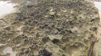 Feições de dissolução por águas meteóricas na superfície do arenito. As águas meteóricas agem sobre o cimento carbonático da rocha, criando feições cársticas de formas diversas. Foto de caio Gabrig Turbay. Fevereiro de 2024.