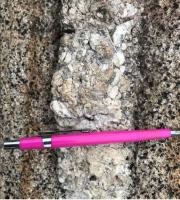 Afloramento de granodiorito cortado por veio pegmatítico no Monumento Natural O Frade e a Freira (ES)
(Autoria da fotografia: Leticia Souza Quinelato)