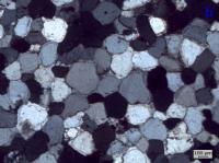 Quartzoarenito com cimento silicoso, de grãos bem selecionados, bem arredondados, típicos da origem eólica. Fotomicrografia com polarizadores cruzados.