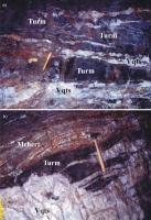 Fig. 2 - Principal nível mineralizado da Mina da Passagem. a) veio quartzo-turmalina-arsenopirita (Vqts) e turmalinito (Turm); b) veio quartzo-turmalina-arsenopirita com brechas de turmalinito e metacherte (Mchert) no topo. Compilado de Cavalcanti (2003). 