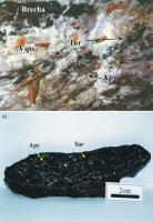 Fig. 3 - a) Veio mineralizado com altas concentrações de arsenopirita (Apy), turmalina (Tur) e brechas de turmalinito; b) fragmento de turmalinito rico em arsenopirita. Compilado de  Cavalcanti (2003).