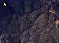Localização da Pedra de "Xangô", com destaque para cobertura vegetal e morfologia local em 1976 (Foto aérea 1:8.000 - CONDER, 1976).