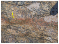 Aspecto geral do ortognaisse. Notar a presença de mineral do grupo do epidoto (seta) e a foliação da rocha. Visada em planta. A ponta da bússola indica o norte. 