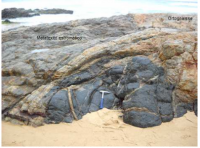 Encrave máfico associado ao migmatito metatexítico estromático e ao ortognaisse. Notar diques félsicos truncando as rochas. Visada em perfil para SSW.  (Carrilho, 2013).