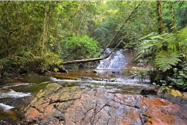 Cachoeira guas Claras, no Parque Nacional dos Campos Ferruginosos, em Parauapebas