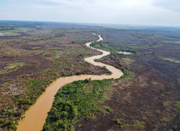 Pantanal, a maior plancie alagvel do mundo, pode enfrentar seca severa neste ano (Foto: Gustavo Figueroa/SOS Pantanal)
