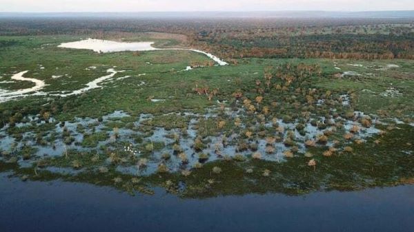 Desde outubro, Pantanal acumula dficit de chuva e nveis dos rios esto abaixo da mdia para o perodo (Foto: Cenrio MT)