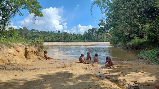 Local de coleta na margem direita do Rio Mucajaí, com a presença de crianças brincando na areia e na água