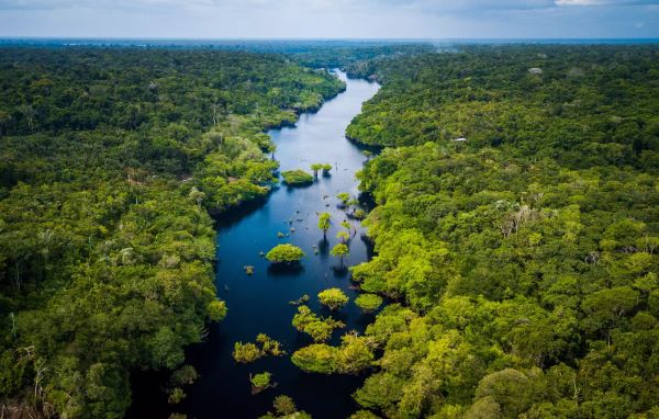 Bacia Hidrogrfica do Rio Amazonas  a maior do mundo (Foto: Marcio Isensee e S/ Adobe Stock)