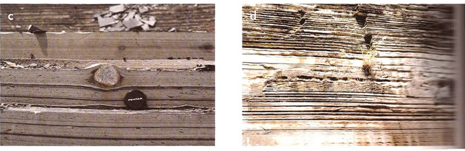  Acima, à esquerda, varvito de Itu com clasto caído. À direita, o mesmo varvito (Campos & Santos)