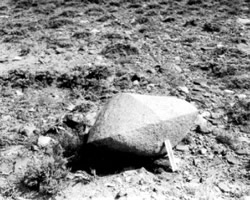 Ventifacto de granito medindo 37x46x71cm, Sweetwater County, Wyoming, EUA (Foto: USGS, em Dicionrio Livre de Geocincias)