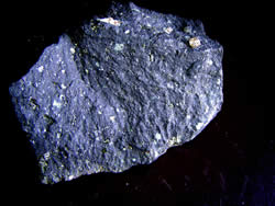 Kimberlito, uma rocha ígnea, com um cristal de diamante amarelado. Museu de Geologia da CPRM (Foto: P.M.Branco).