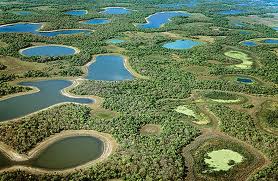 Lagoas do Pantanal (Foto: ecodebate.com.br)